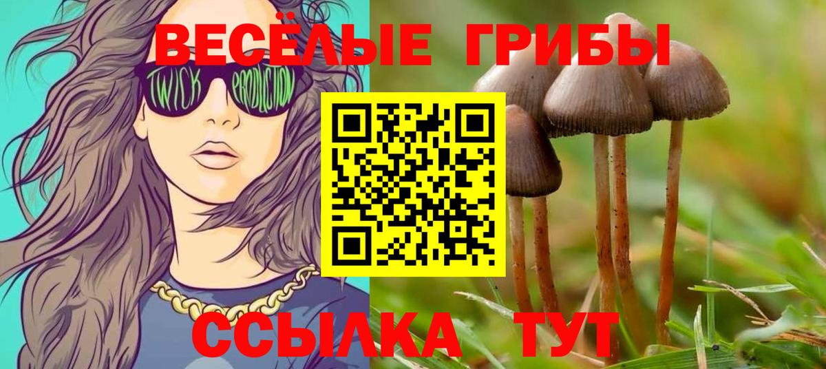 MDMA  Чернушка  Каннабис  Героин  ГАШ  Вход с VPN  МЕФ кристаллы  КОКАИН  Альфа ПВП СК кристаллы  Гашиш 