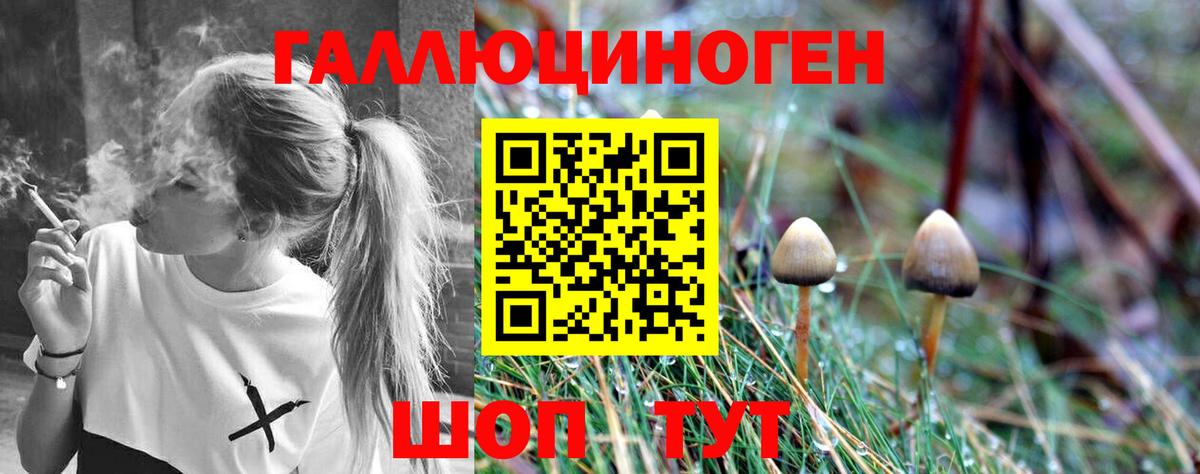 Чернушка  Псилоцибиновые грибы Magic Shrooms  Вход с VPN  Псилоцибиновые грибы мухоморы 